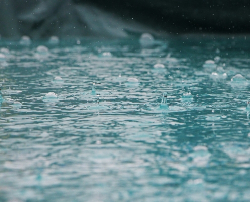 Absence et intempéries - cabinet Moineau- Photo Inge Mariaasur